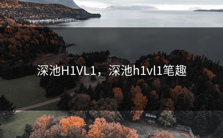 深池H1VL1，深池h1vl1笔趣