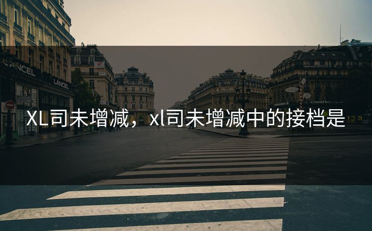 XL司未增减，xl司未增减中的接档是