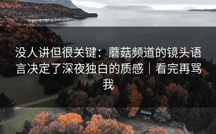 没人讲但很关键:蘑菇频道的镜头语言决定了深夜独白的质感|看完再骂我 没人讲但很关键:蘑菇频道的镜头语言决定了深夜独白的质感|看完再骂我