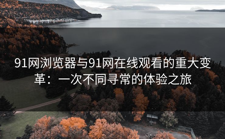 91网浏览器与91网在线观看的重大变革:一次不同寻常的体验之旅